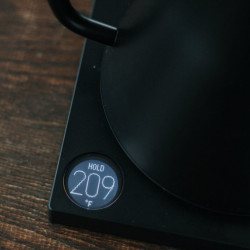 Fellow Stagg EKG Smoke green + Maple | Bollitore elettrico Gooseneck