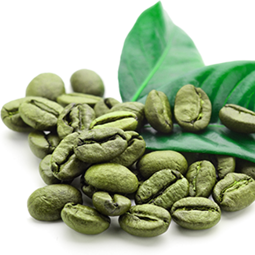 Coffea arabica - semi