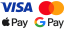 Pagamento con carta (GoPay) / Apple Pay / Google Pay