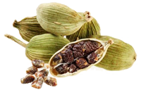 cardamomo per il caffè
